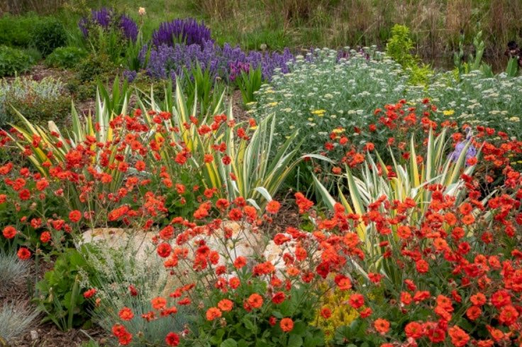 The Gardens on Spring Creek , United States